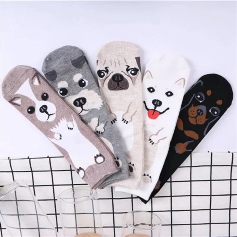 5 Paia/Confezione Calzini Dive - Cotton Crew Sock Pack recensione e prezzo